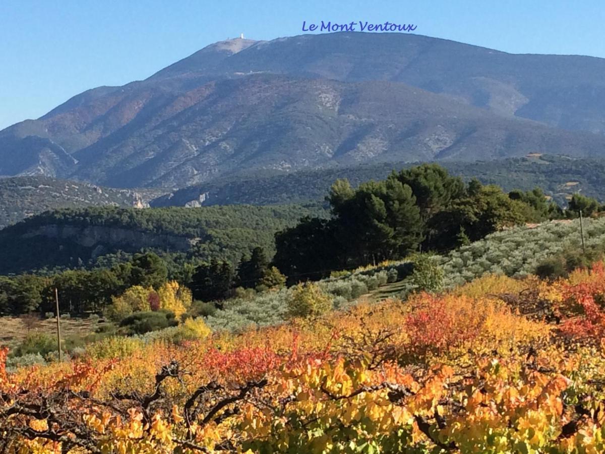Bed and Breakfast Le Nid au Pied du Mont Ventoux à Malaucène Extérieur photo